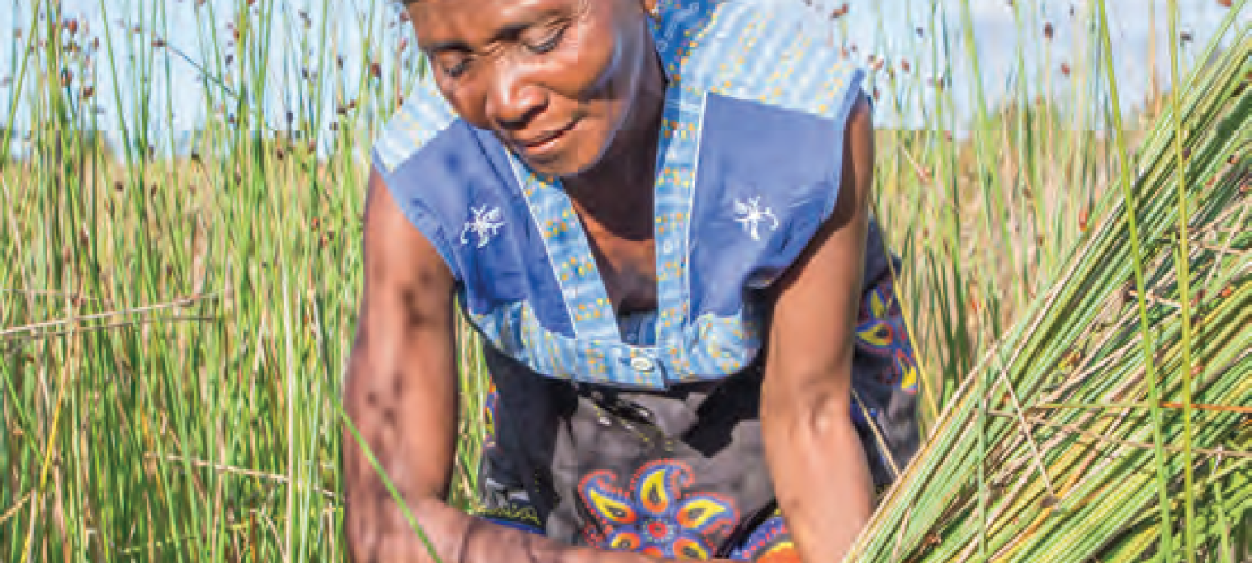 Woman in the field