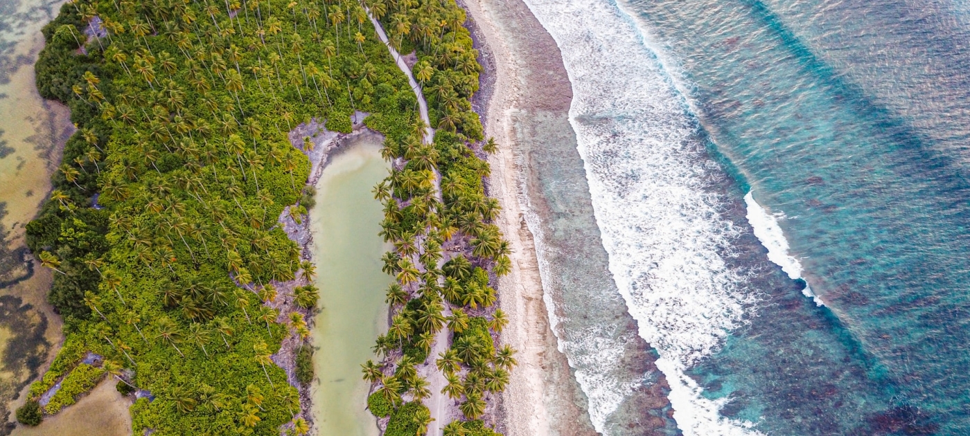 beach and mangrove