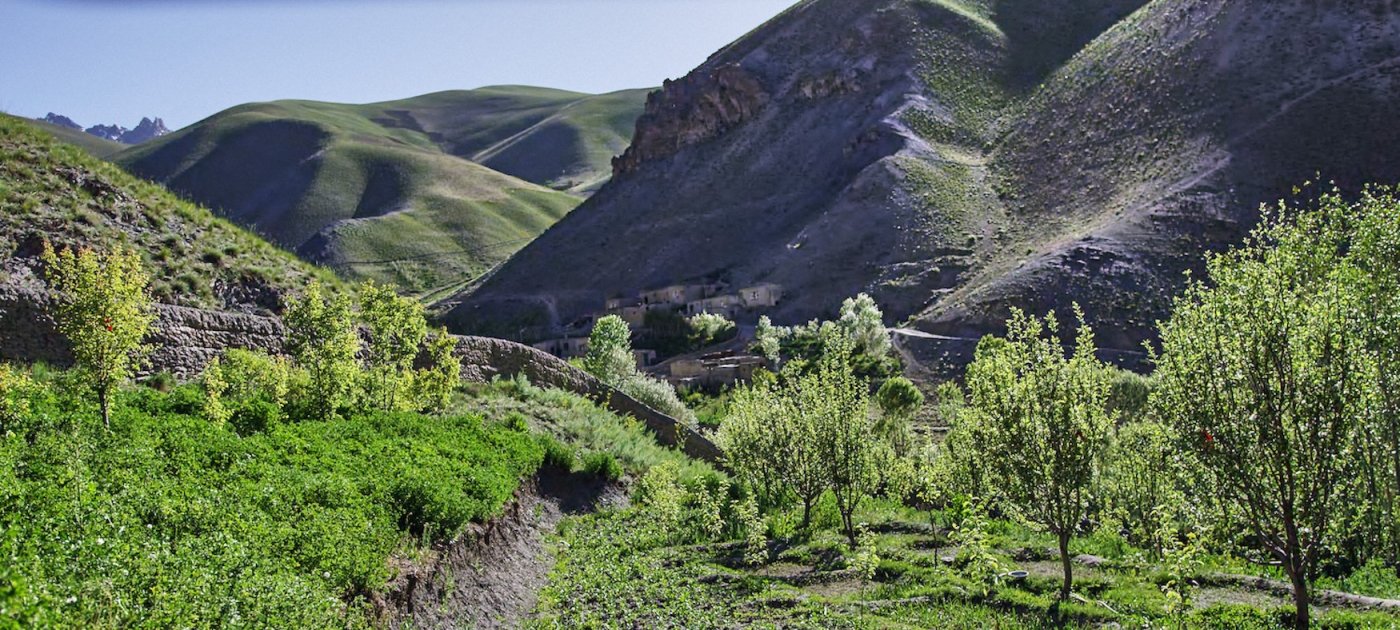 Mountains and grassland