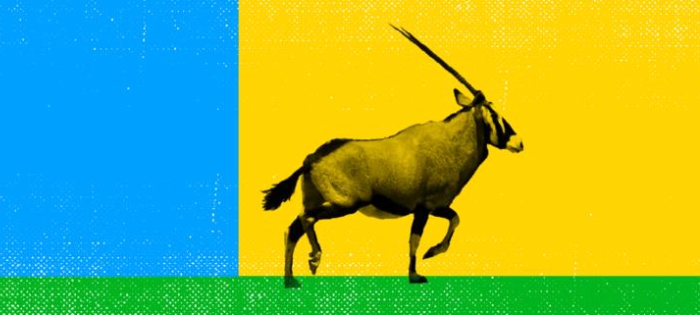 banner image