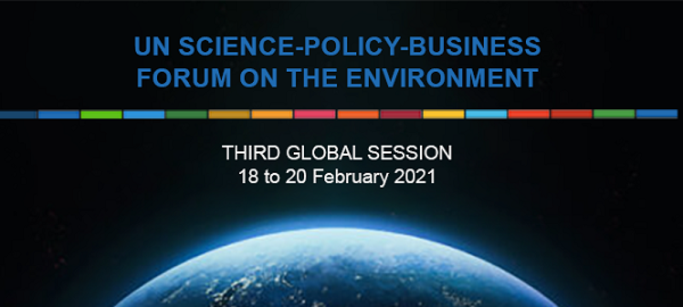 UN-SPBF third global session