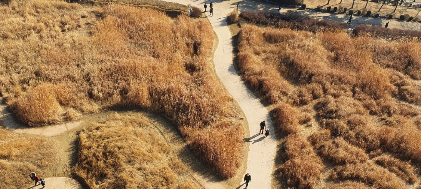 people in landscape