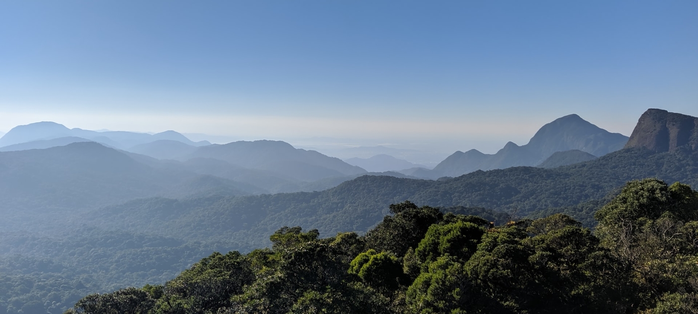 A imagem mostra a Mata Atlântica com diversas montanhas ao fundo e céu azul.