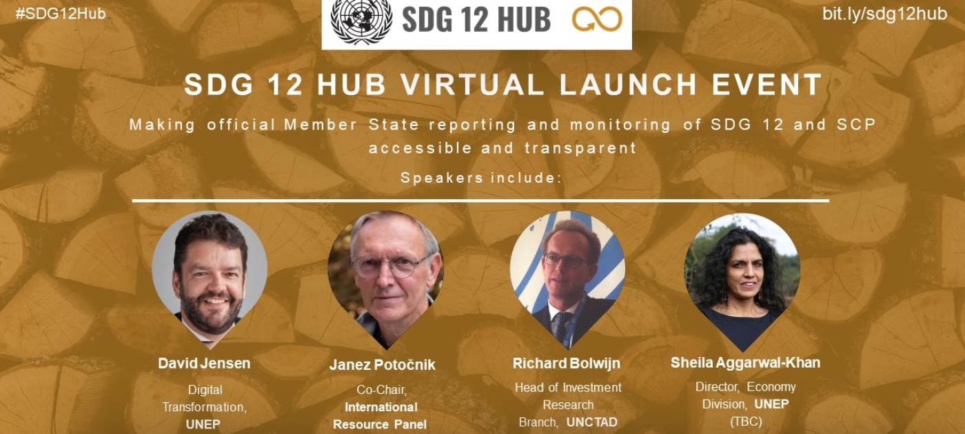 SDG 12 Hub Virtual Launch Event