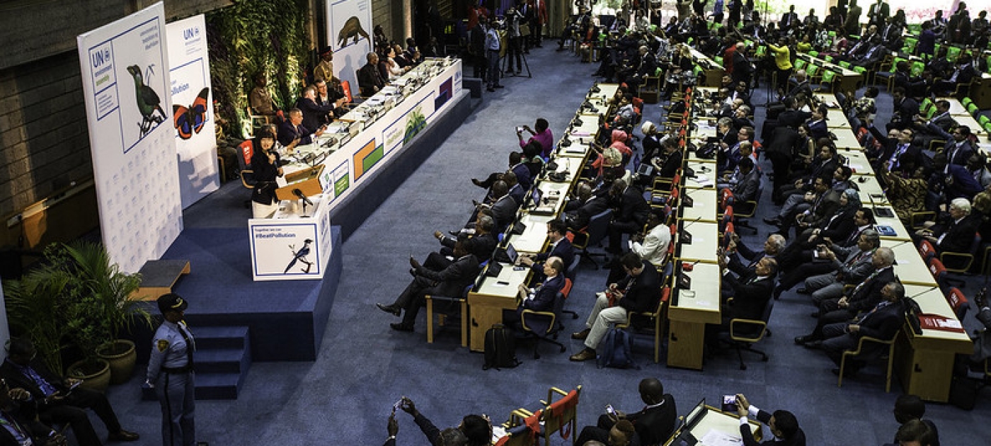 UNEP Pictures