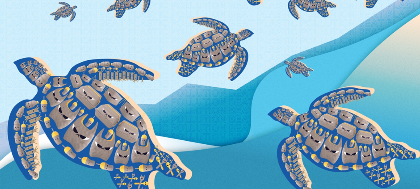 Sea turtles