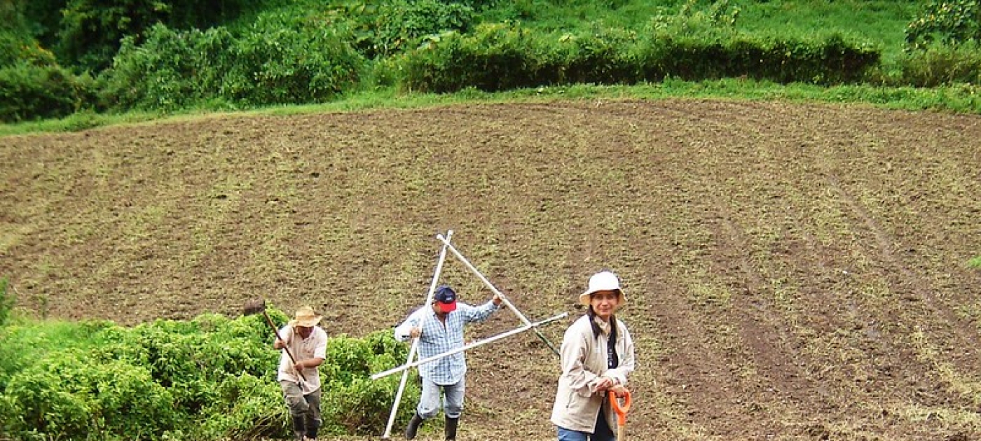 farmers