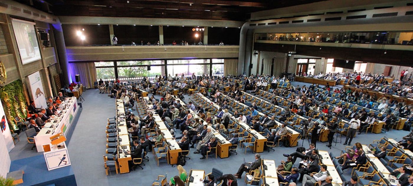 UNEP Picture