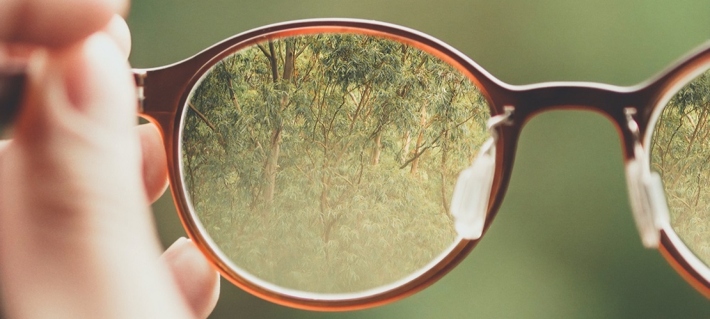 lentes transparencia