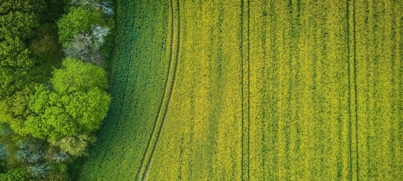 Aerial view green field
