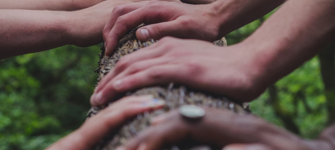 hands in group