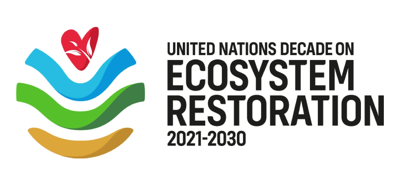 UN Decade logo