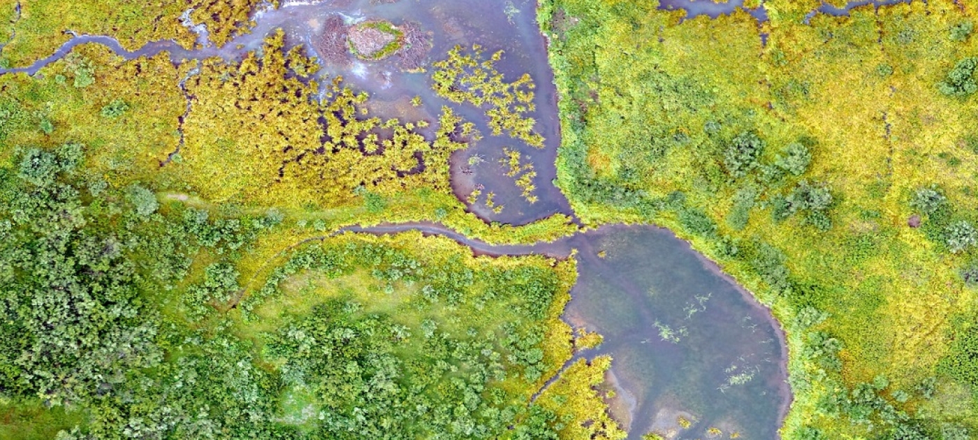 Aerial photography of calm body of water