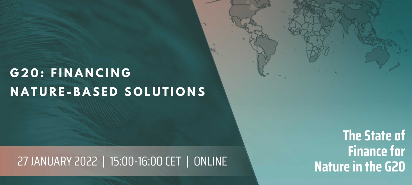 G20: Financing Nature-based Solutions