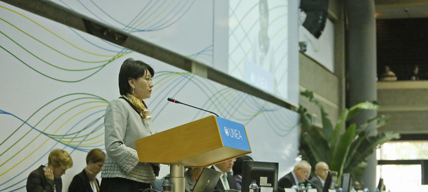 UNEP Pictures- UNEA Opening Ceremony