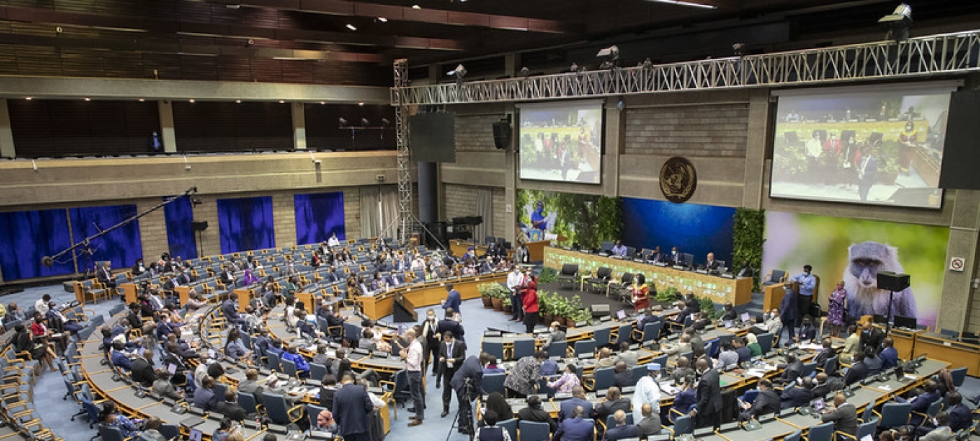 UNEP Pictures