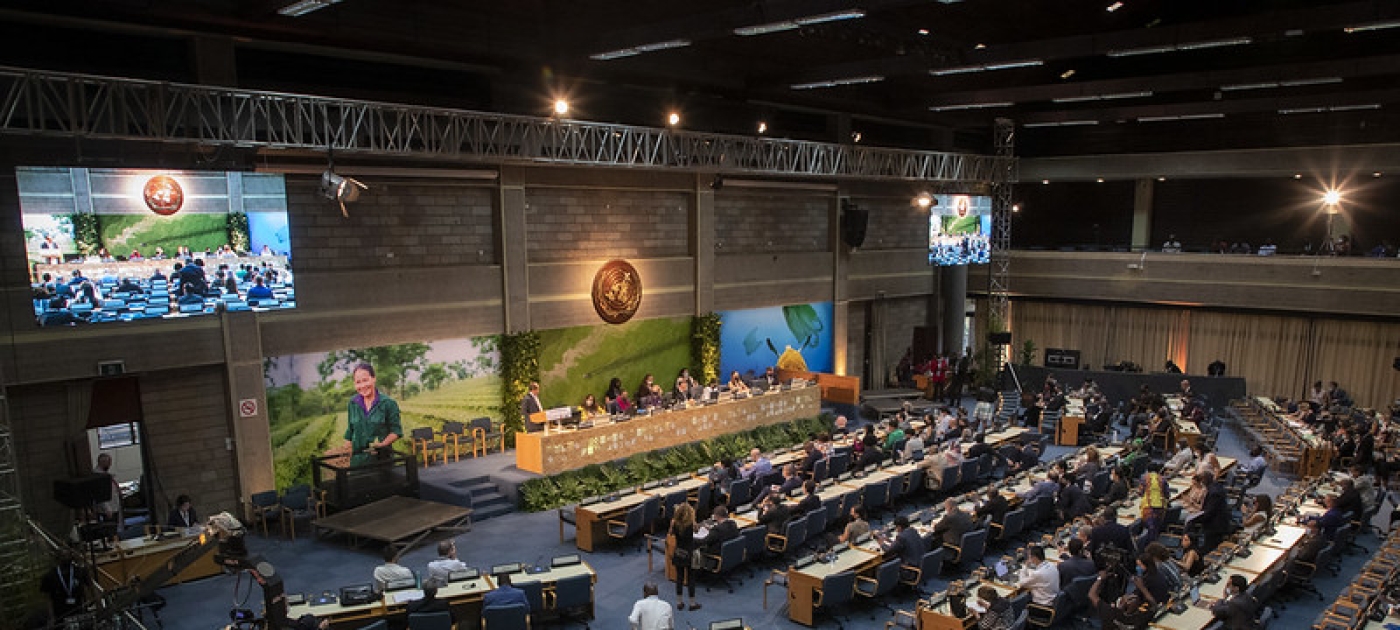UNEP Pictures