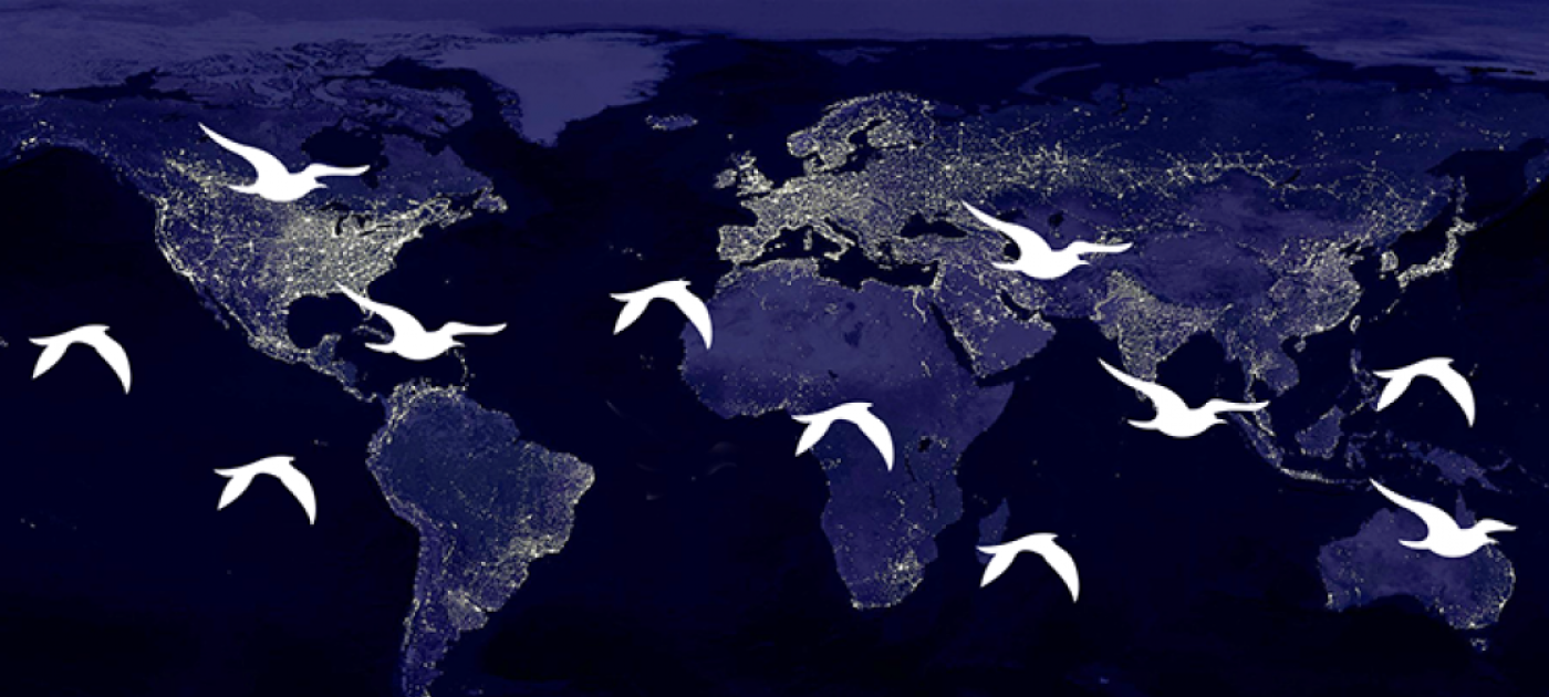  World Migratory Bird Day 2022