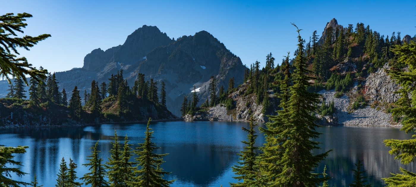 View of lake surrounded by trees during day time
