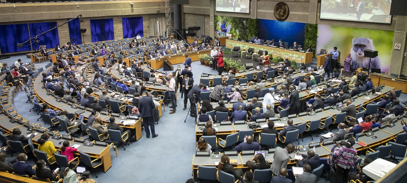 UNEP Pictures