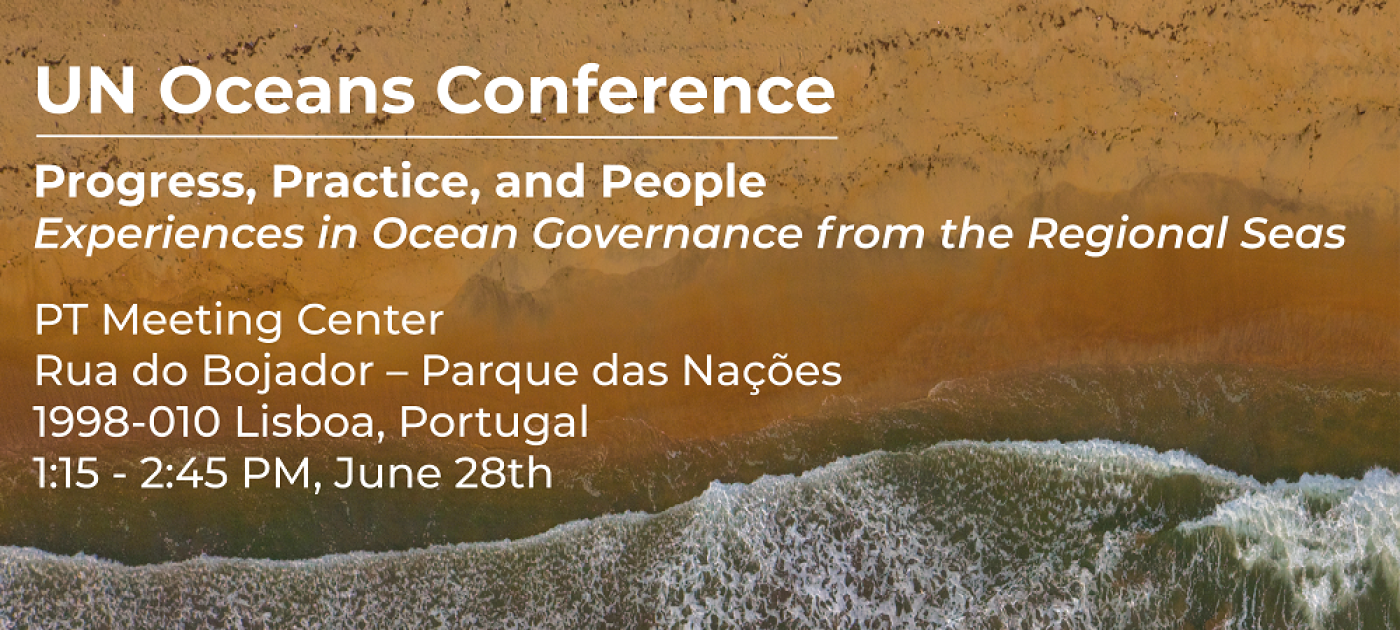 Experiences in Ocean Governance from the Regional Seas