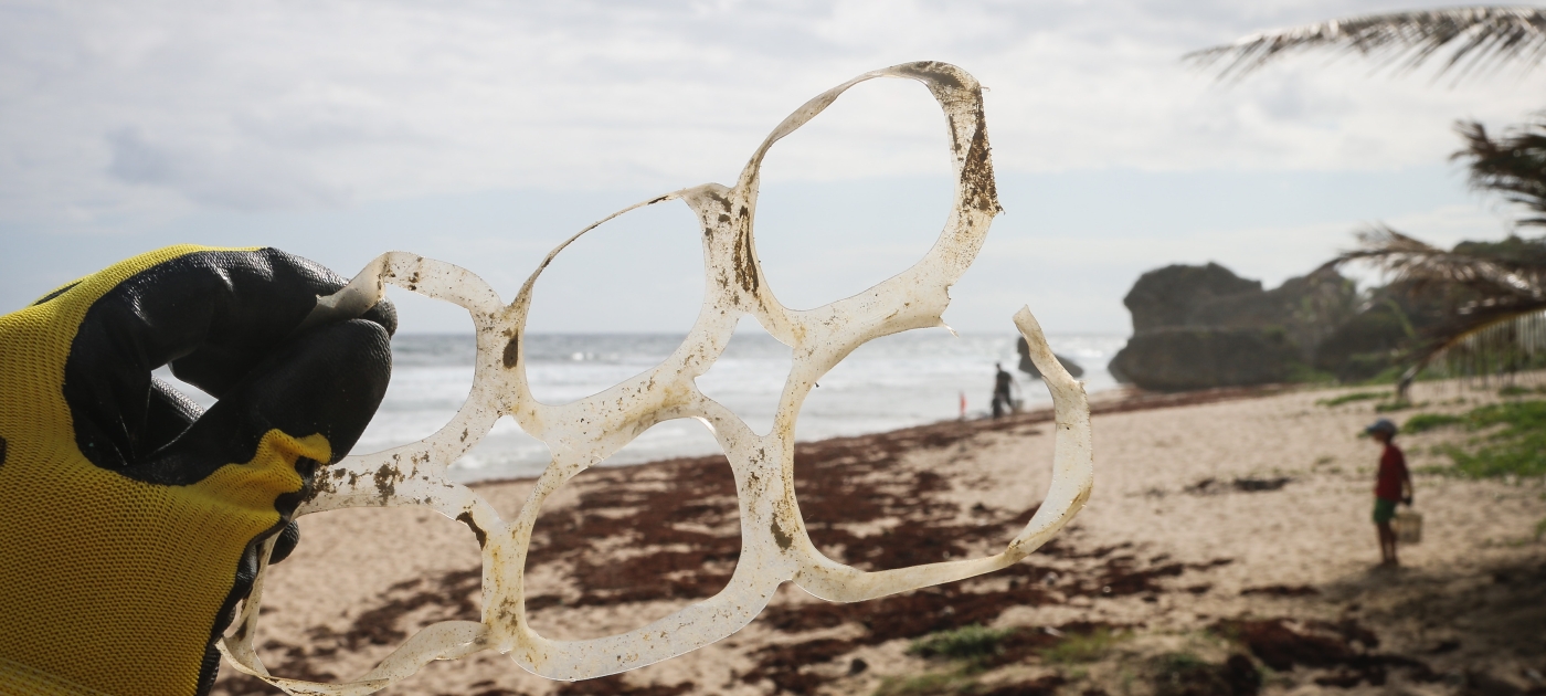 Marinelitter