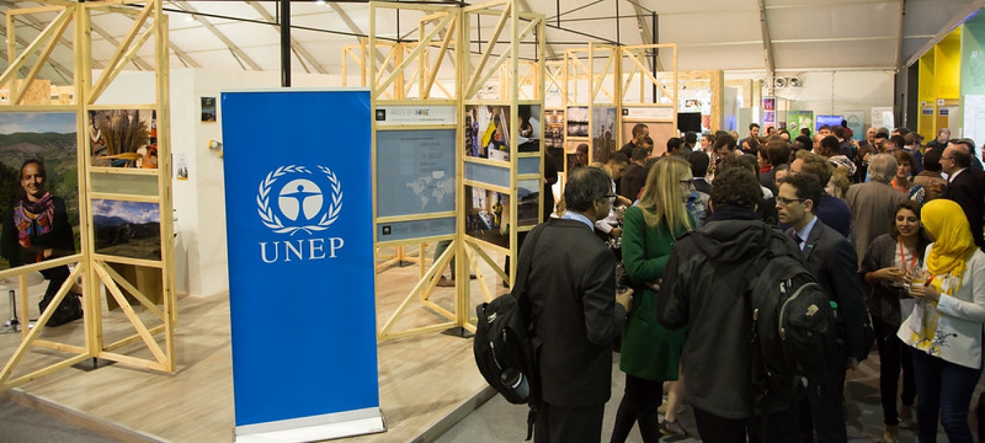 UNEP Picture