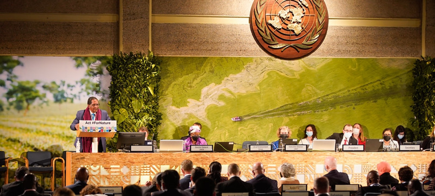 UNEP Picture