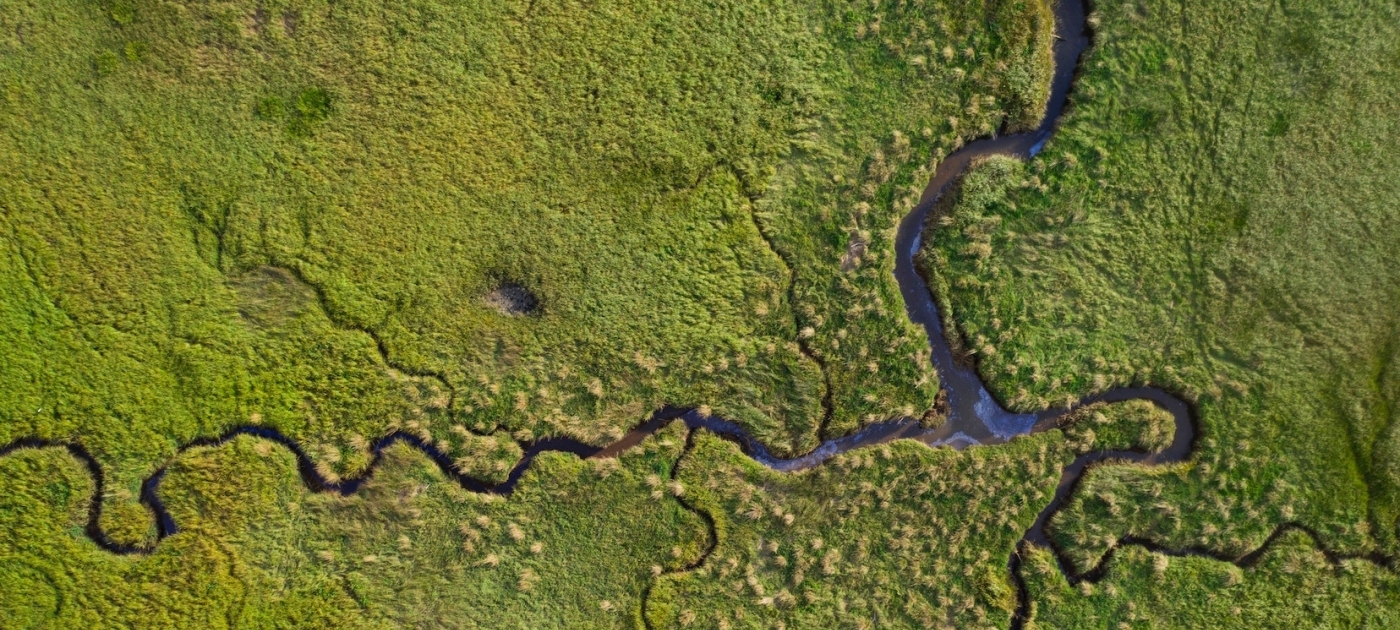 Wetland