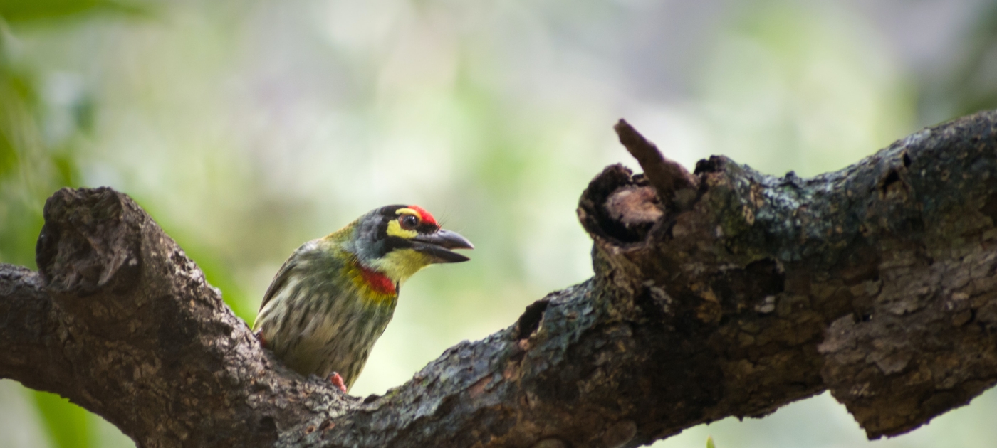 Photo by Sonika Agarwal on Unsplash