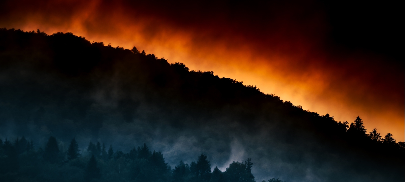 incendios forestales reporte fronteras