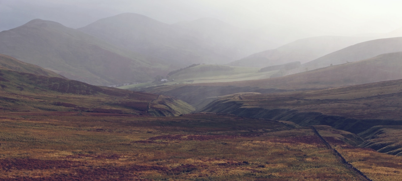 Peatland