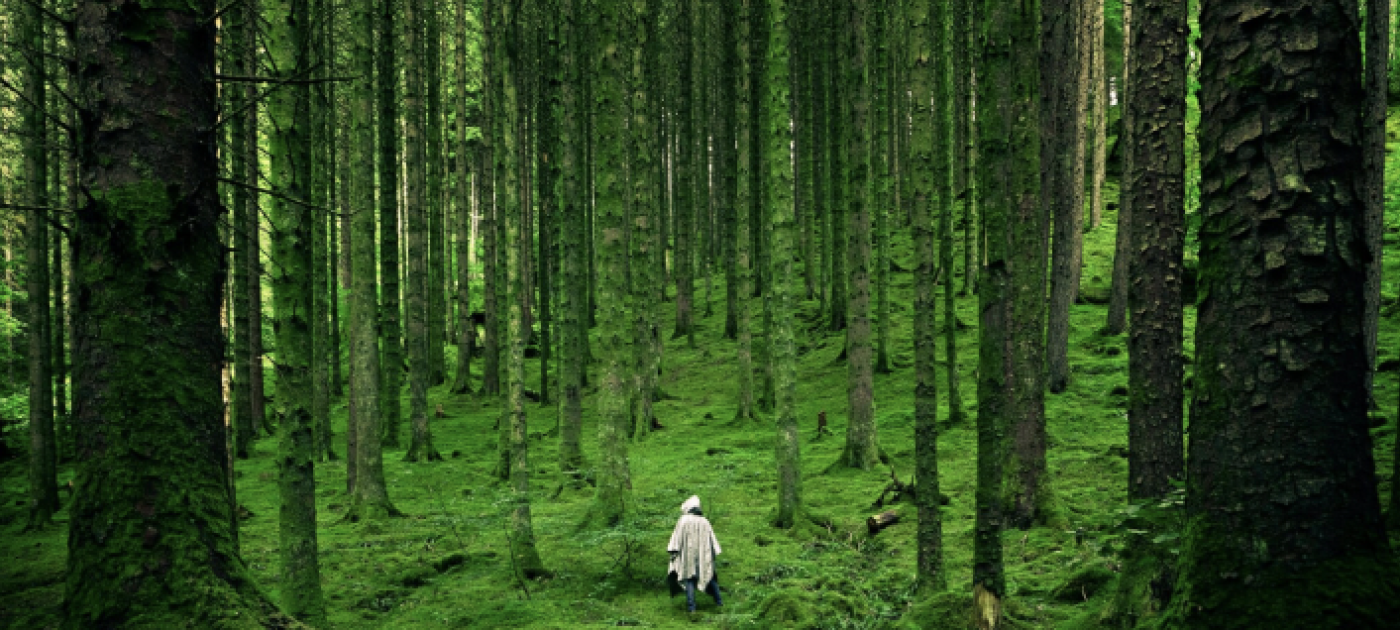 Nature Positive Universities