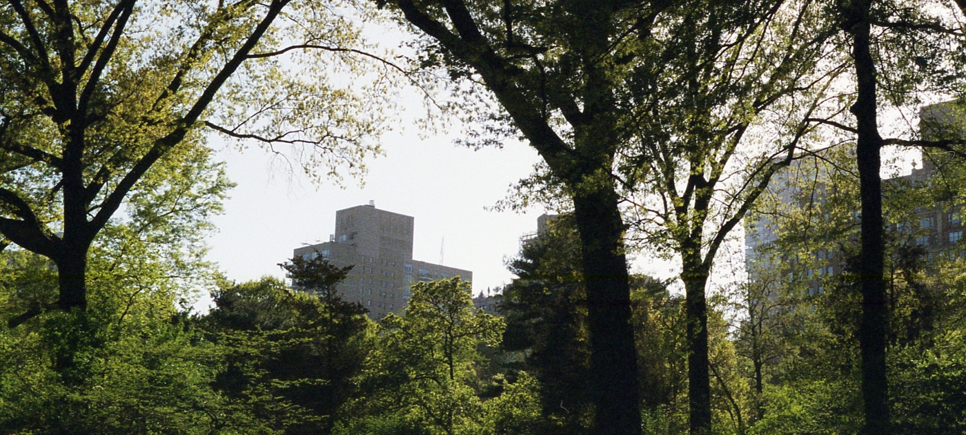 City and nature