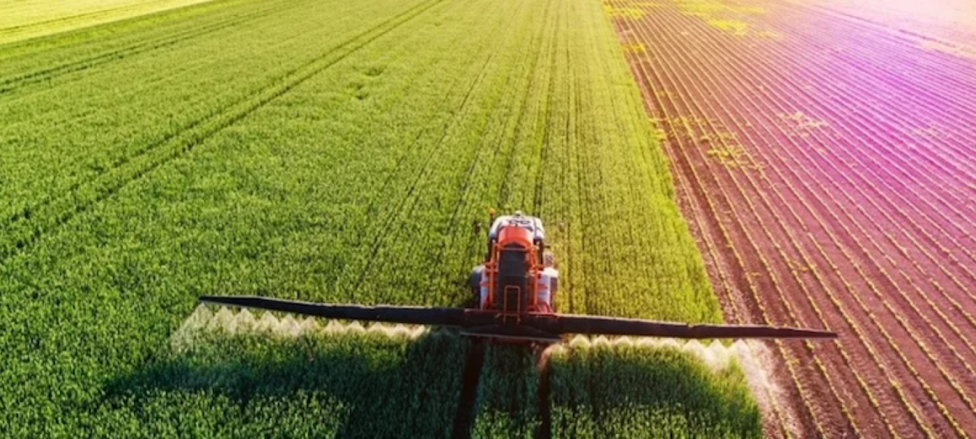 Tractor grazing a field
