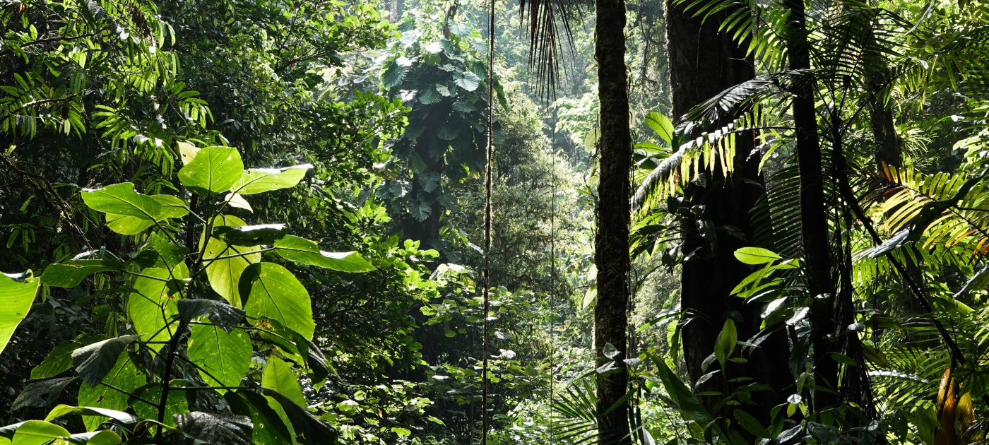 BIOFORUMLAC