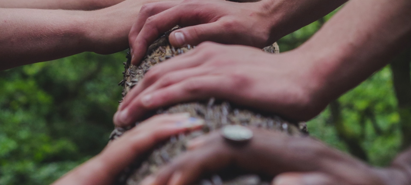Hands on a tree stem