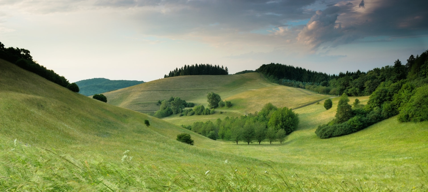 Green hills with forest under cloudy sky during daytime