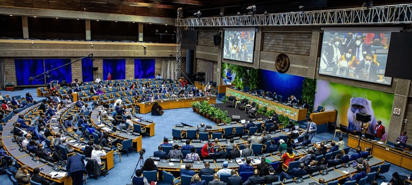 OEWG Bureau