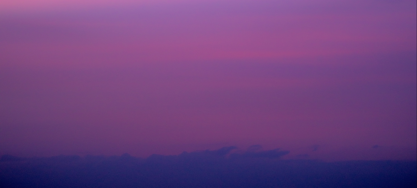 morado género