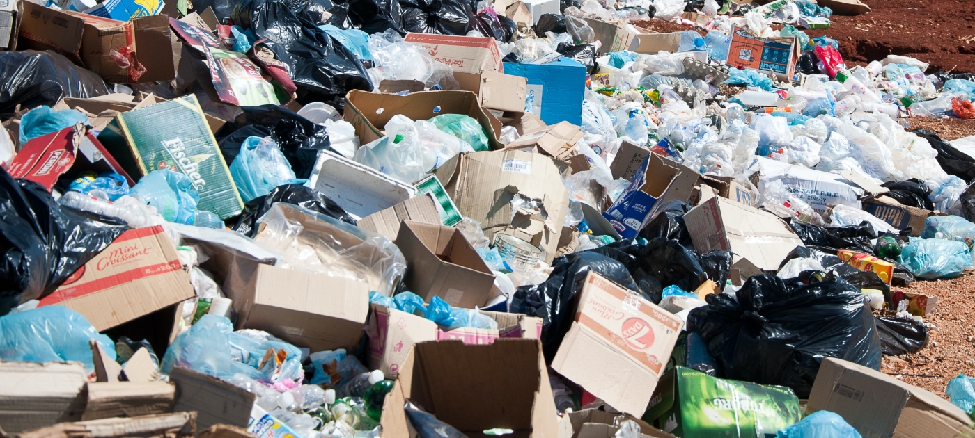 wasteday