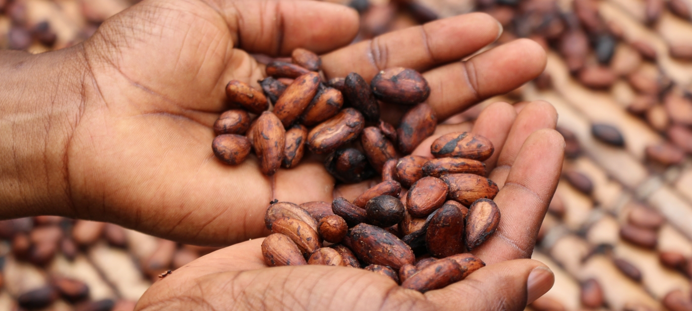 cocoa beans