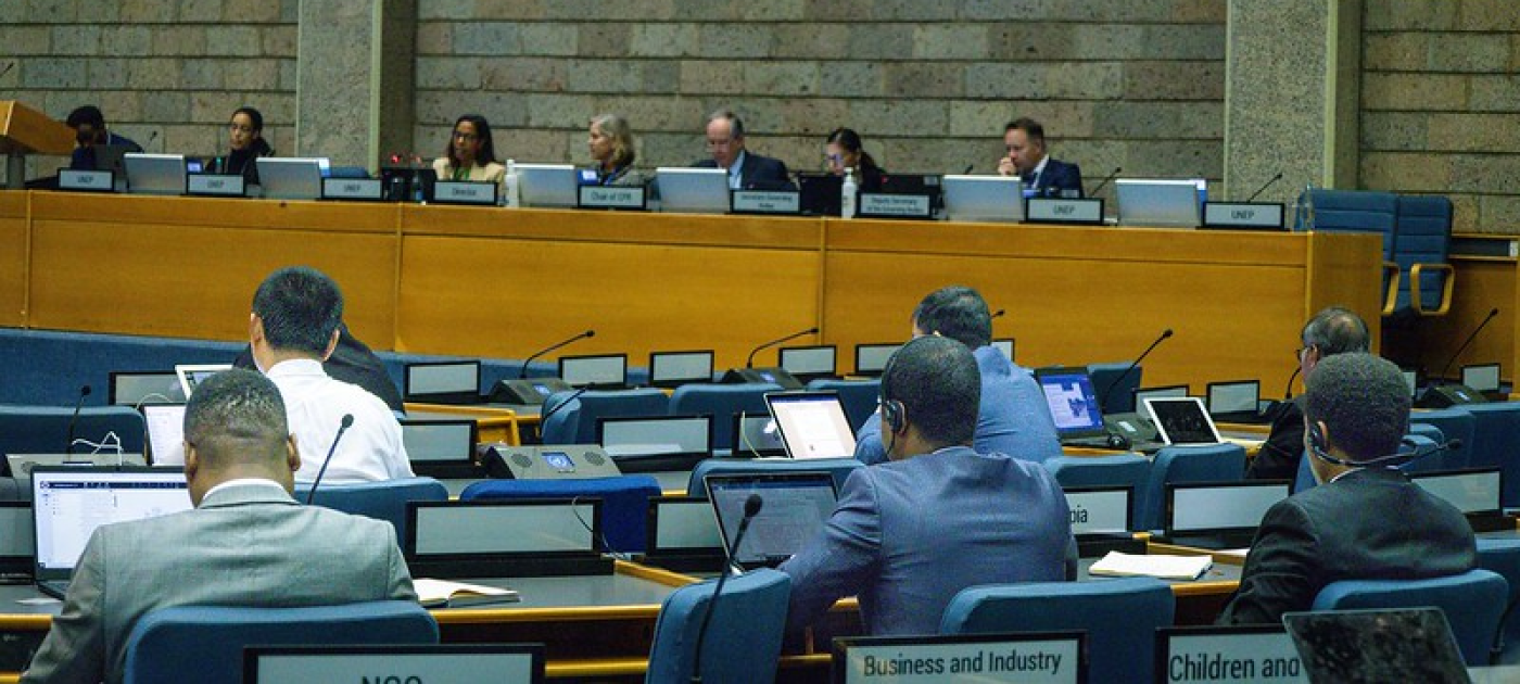Committee of Permanent Representatives Subcommittee meeting