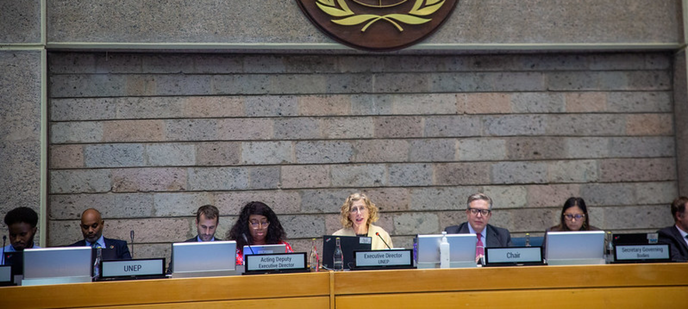 OEWG SPP Bureau meeting