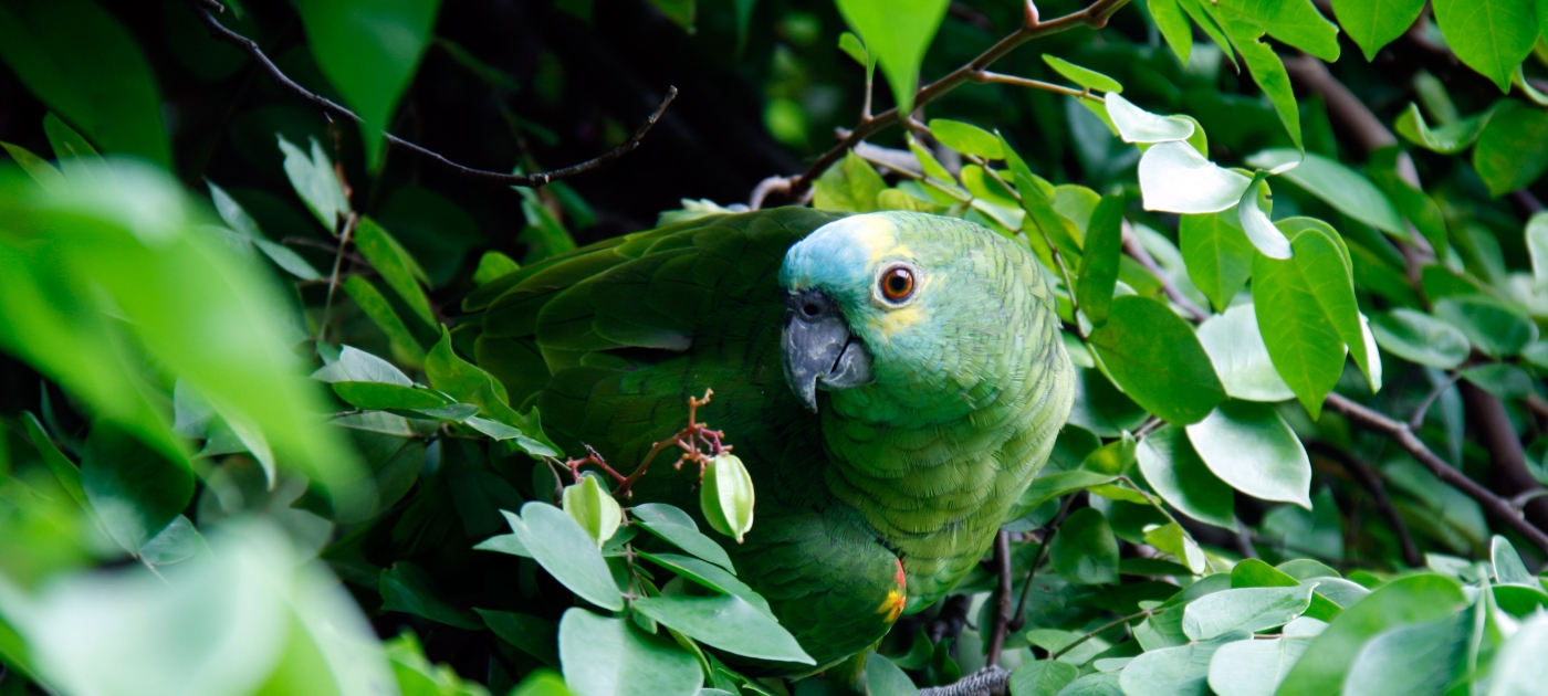 Claire Thibault / Pexels