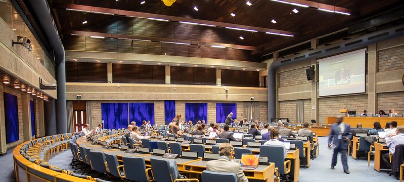 OEWG SPP Bureau meeting