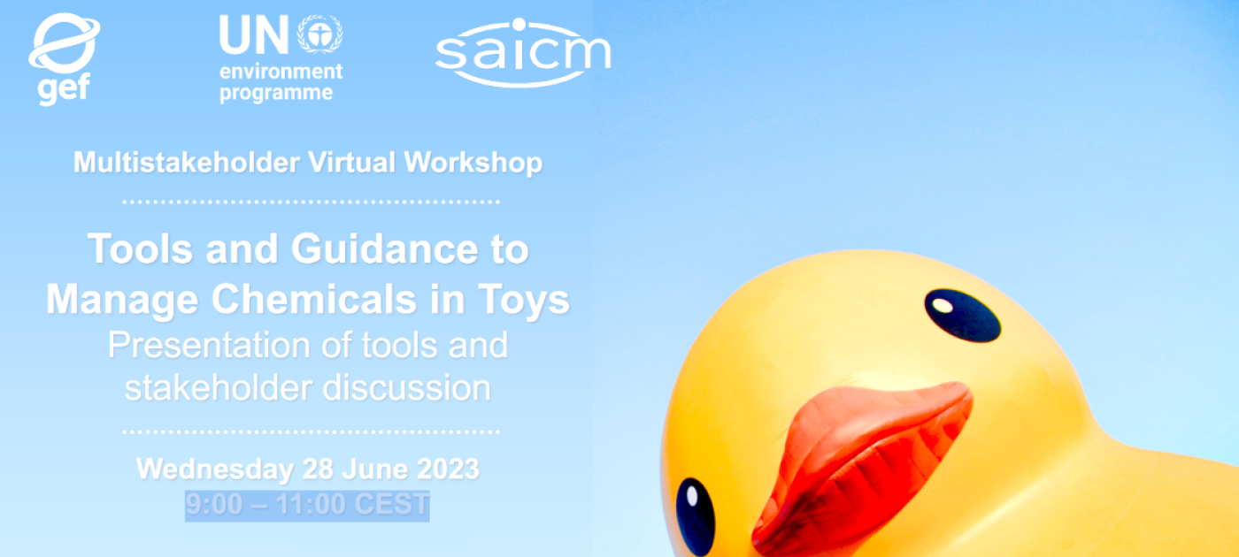 Tools and Guidance to Manage Chemicals in Toys - Multistakeholder Virtual Workshop