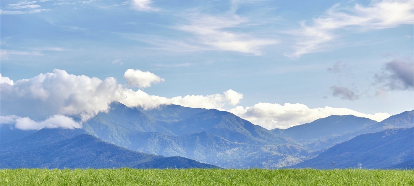 Green grass field and mountain at distance