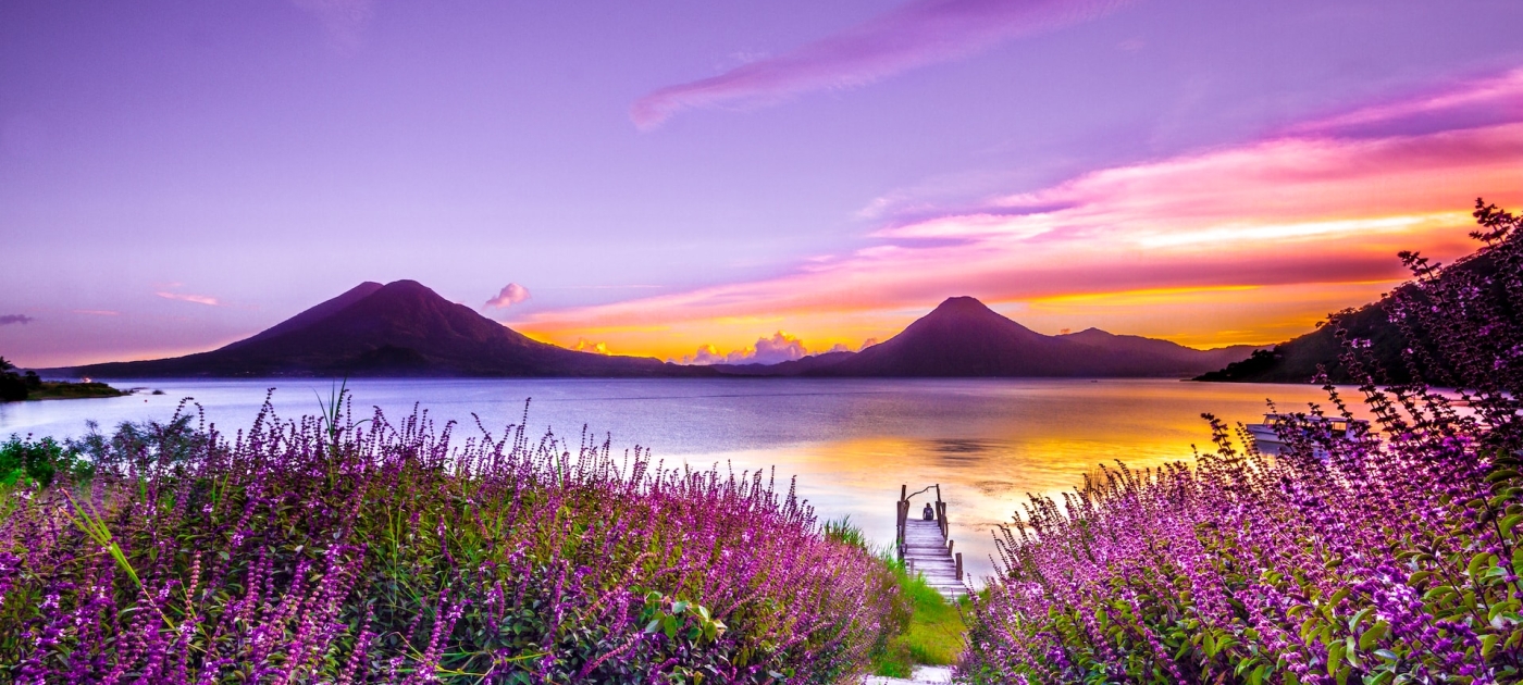 Brown wooden dock between lavender flower field near body of water during golden hour photo. Photo: Unsplash/Mark Harpur