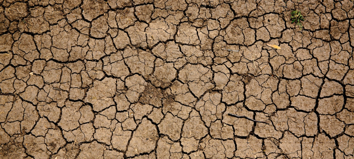 el niño webinar